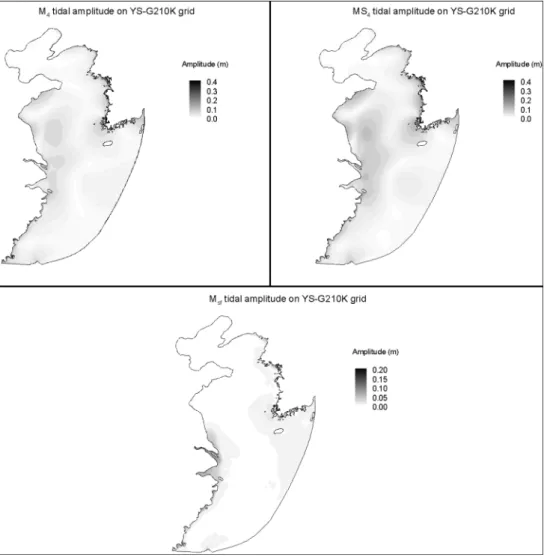 Fig. 6.  Generated non-linear over tide M4, compound tide MS4 and fortnightly tide Msf on the Yellow Sea.