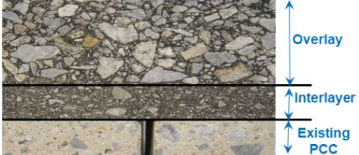 Fig. 4. Highly elastic Stress Absorbing Membrane Interlayer Cross-section (Park et al., 2006)