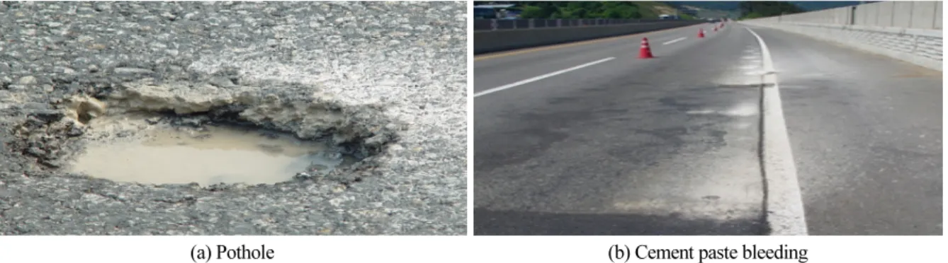 Fig. 1. Pavement damage due to water penetration