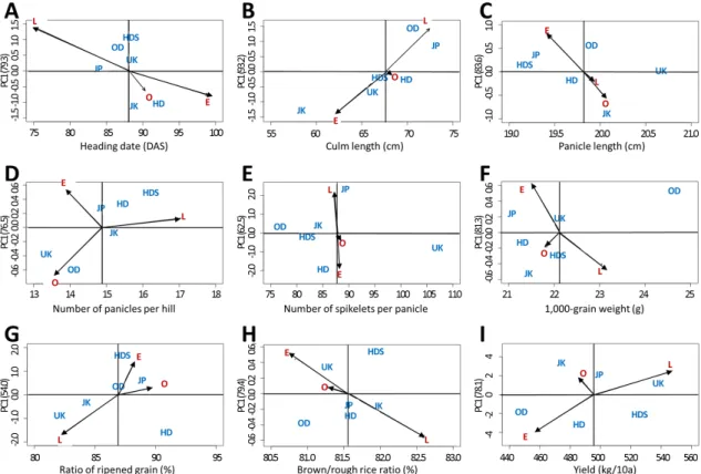 Fig. 3.  Additive main effects and multiplicative interaction (AMMI) biplots of yield-related traits in six early maturing rice varieties across  three  cultivation  times