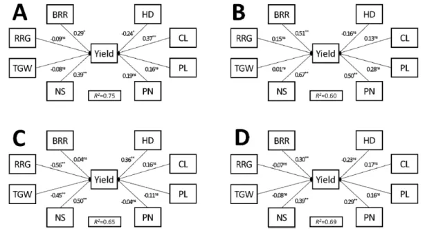 Fig. 4.   Path  analysis  of  causal  relationship  among  yield-related  traits  to  explain  the  variation  of  yield  in  early  (A),  ordinary  (B),  late  (C),  and total (D) cultivations