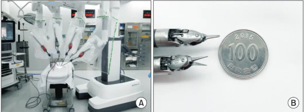 Fig. 1.  Robotic microsurgery trai- trai-ning model using porcine leg. 