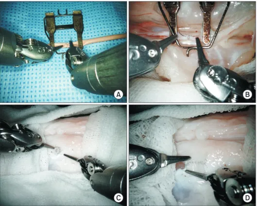 Fig. 5.  Microanastomosis training  material for robotic microsurgery  training. (A) Practice model using  artificial blood vessels