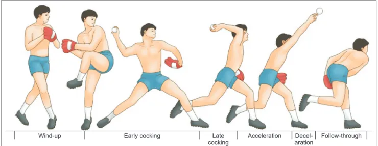 Fig.	2.  The 6 phases of the overhead thrwoing motion. Cited from the Park MJ. Hand and Upper Extremity Surgery: The Wrist  and Elbow