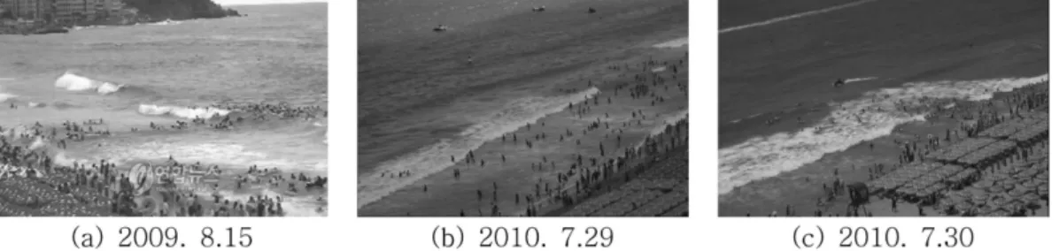 Table 1. Rip current research by year
