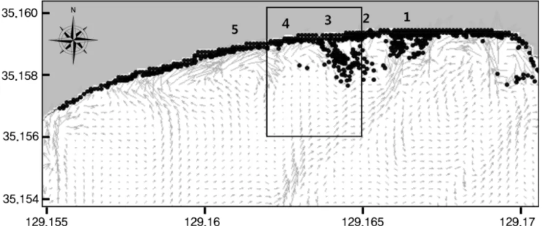 Fig. 11. Simulation results for seaward drifting of swim tubes due to rip currents (2010