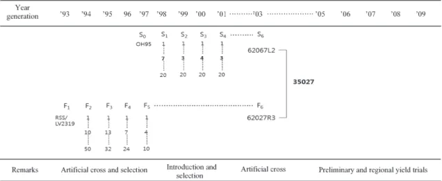 Fig. 1. Pedigree of a new pepper variety ‘Jeockyoung’.(Lee 2013) 실제 품종개발 회사와 식품개발회사가 협력하여 고품질 품종을 육성하고 이를 원료로 한 제품개발 연구도 이루어지고 있다(RDA 2014a)