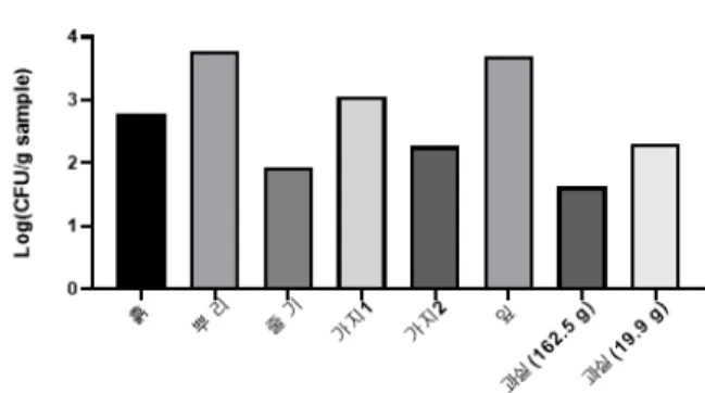 Fig.  1.  Total  culturable  bacterial  abundance  on  the  surface  of  tomato  plants