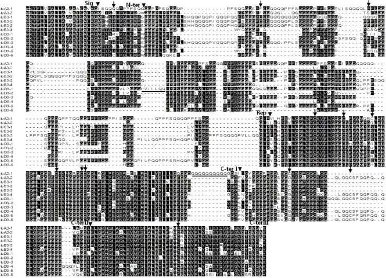 Fig. 3. Alignments of deduced amino acid sequences of Glu-A3,  Glu-B3 and Glu-D3allelic variants