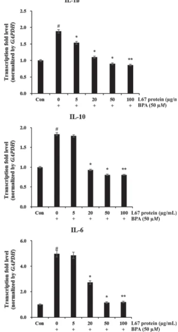Table  3.  Production  of  IL-12  and  IFN-γ  from  mouse  spleno- spleno-cytes  induced  by  various  strains  of  lactobacilli