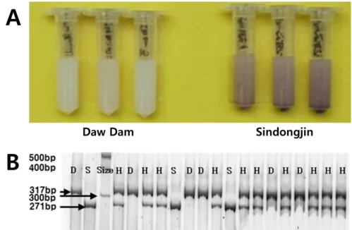 Fig. 2. Screening method for LOX-3 null rice. Color test (A) and marker-assisted selection (B).BC1F2식물체를 재식하였다