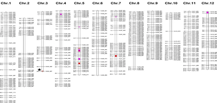 Fig. 5. Graphical genotype of Jeonju624 based on 406 KASP markers. The horizontal black lines on the left and right of each chromosome indicate to the physical position and marker