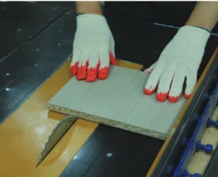 Fig. 3. Typical hand position while operating a hand-mounted  saw. We can expect the non -dominant hand, which is pushing  the object, to be injured.