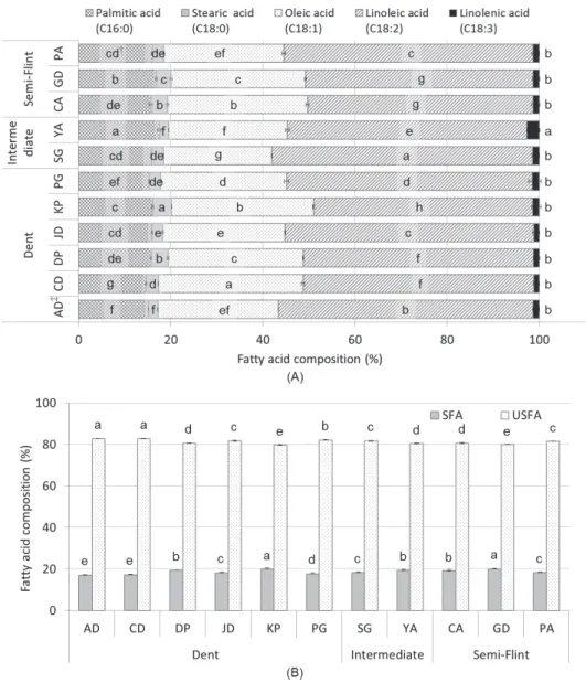 Fig. 2. Comparison on fatty acid composition (A) and total of saturated and unsaturated fatty acid composition (B) in kernel of 11 Korean maize hybrids.