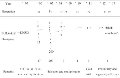 Fig. 1. Pedigree of leaf lettuce ‘Jahokmaschima’. 2017 년도 상추의 국내 생산액은 2,643억원으로 엽채류 중에 서는 배추 다음으로 많은 생산액을 차지하고 있으며, 또한 최근 소비가 증가하고 있는 결구 및 반결구형(로메인,  버터헤드형) 상추의 생산액은 400억원 정도로 추정하고 있다(Jang et al