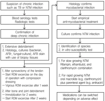 Fig. 1. Algorithm of our standardized treatment of NTM infection of the hand and wrist