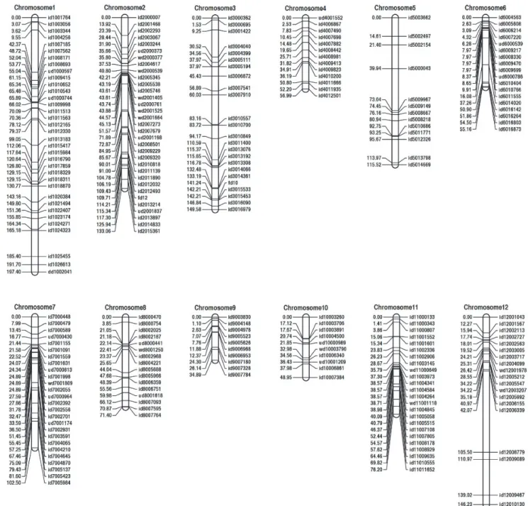 Fig. 3. The genetic linkage map of RIL population derived from a cross Hanareum2 and Unkwang