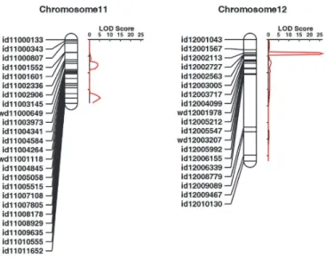 Table 2. Putative QTLs associated with seedling cold tolerance (SCT) as determined by composite interval mapping.