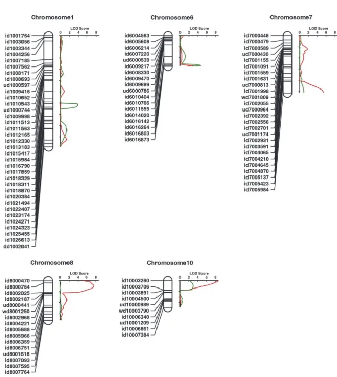 Fig. 5. The location of QTLs related to cold-induced yellowing tolerance in field condition (CYT) of RIL population in 2015 and 2016