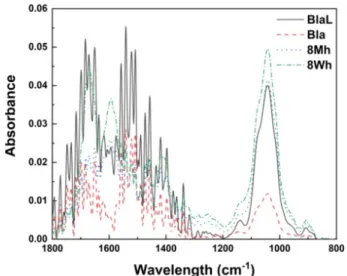 Fig. 1.   Representative  FT-IR  (Fourier  transform  infrared)  spectral  from  genomic  DNA  of  wild  peach