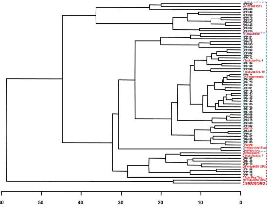 Fig. 5.   HCA  (hierarchical  clustering  analysis)  dendrograms  from  PLS-DA  (partial  least  square  discriminant  analysis)  of  wild  peach.