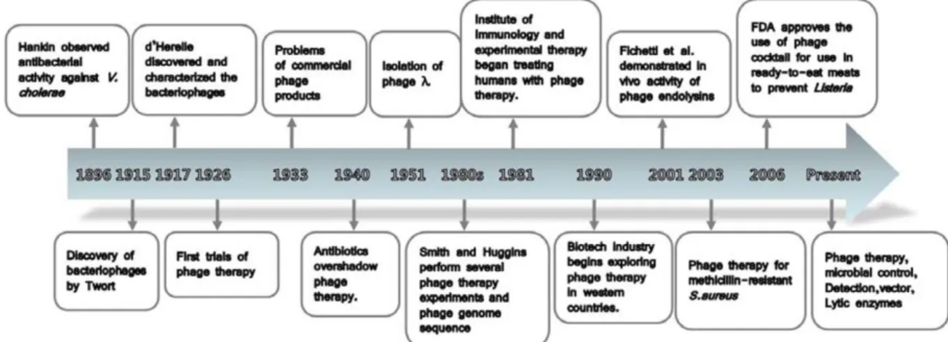 Fig. 2. Timeline of highlights in the developments of bacteriophages.