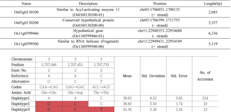 Fig. 2. Haplotype variation in Os03g0130100 genes related Mg 2+  content among the 295 accessions of rice core set.