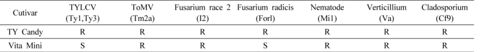 Table 4. Disease resistance of ‘TY Candy’ Cutivar TYLCV (Ty1,Ty3) ToMV (Tm2a) Fusarium race 2(I2) Fusarium radicis(Forl) Nematode(Mi1) Verticillium(Va) Cladosporium(Cf9) TY Candy R R R R R R R Vita Mini S R R S R R R 비하여 토마토황화잎말림바이러스(TYLCV)와 근부위조병에  저항성을  