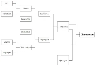 Fig. 1. Pedigree diagram of ‘Chamdream’.