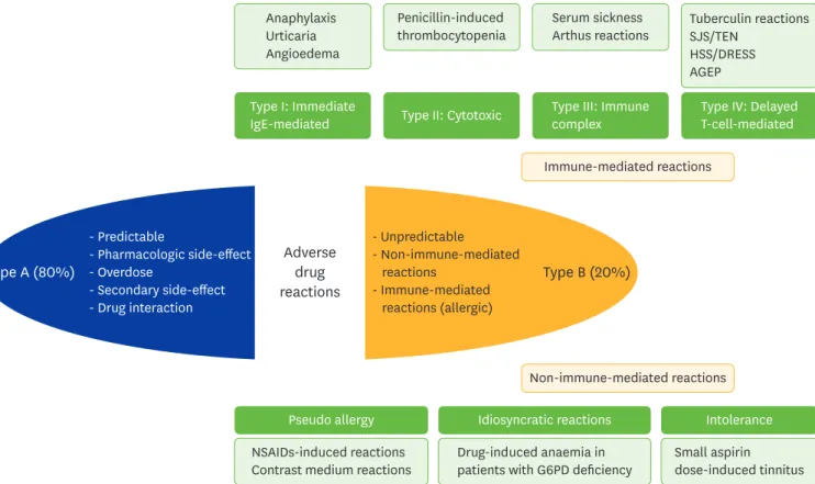 Fig. 1. Classification of adverse drug reactions. NSAID, nonsteroidal anti-inflammatory drug; SJS/TEN, Stevens-Johnson syndrome/toxic epidermal necrolysis; 