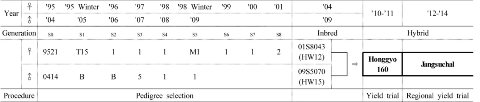 Fig. 1. Breeding procedure of ‘Jangsuchal’
