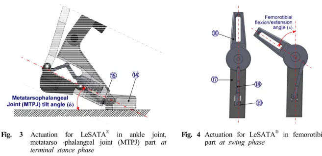 Fig. 4 Actuation for LeSATA ®  in femorotibial joint  part  at swing phase