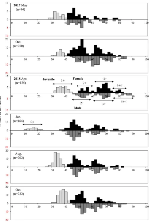 Fig. 3. Total length frequency distribution of Acheilognathus signifer in the Heukcheon Stream, Hangang River, Korea from 2017 to 2018