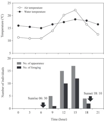 Fig. 3. Changes in temperature and number of individuals of Cobitis  choii in the Jicheon Stream, Korea, oberved at three-hour intervals on  September 16~17, 2011.