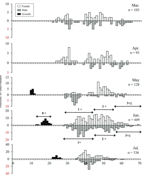 Fig. 2. Standard length frequency distribution of Rhodeus pseudosericeus in the Heukcheon (River) from March to July 2012.