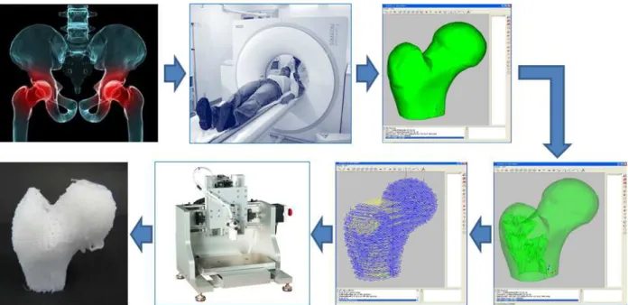 Fig. 2 Schematic diagram 3D scaffold fabricating process 할 수 있어 장기적으로 수요자의 요구에 따라 이식을 위한 장기를 직접 만들어 낼 수 있다 또한 