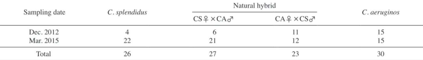 Table 4. Species identification and number of individuals of two Coreoleuciscus species by mtDNA and nrDNA analysis (collected in the site no