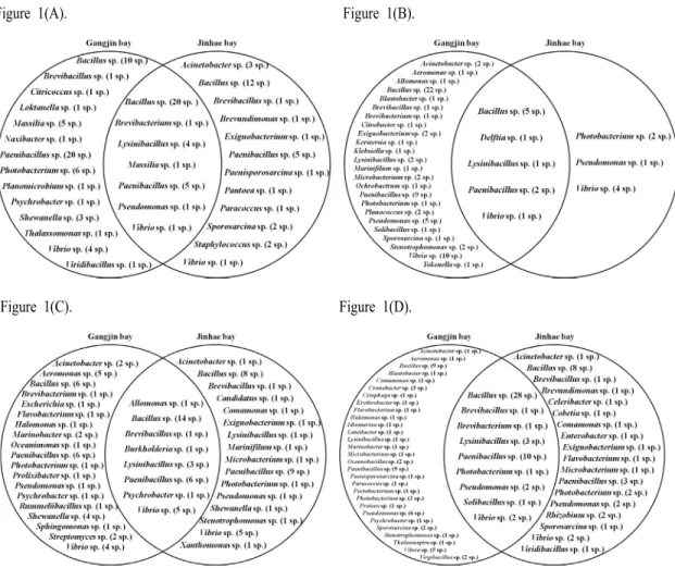 Fig. 1. Microbial diversities of isolated and identified samples collected from Gang-Jin bay and Jin-Hae bay