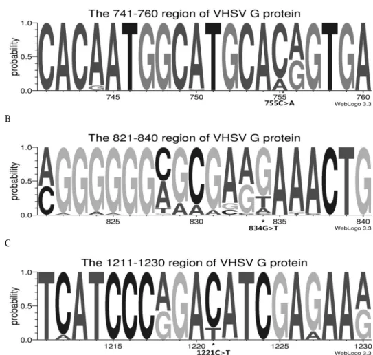 Fig. 3. Korean strain-specific G-region sequence logos. Each nucleotide positional probability consensus was generated using WebLogo 3 (http://weblogo