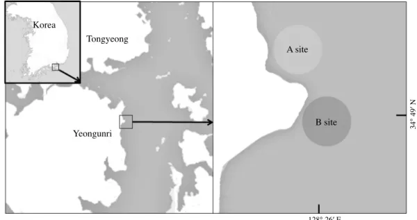 Fig. 1. Map of the study site A and B in Tongyeong, Korea.