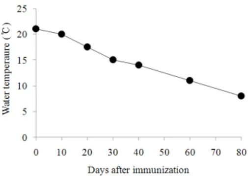 Fig. 1. Changes in water temperature during this study.