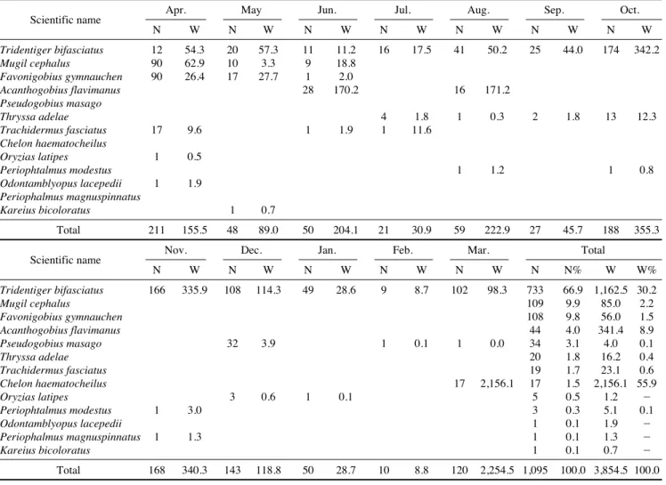 Table 1. Seasonal variation of species composition of fishes collected by a push net in the tidal creek of Sangnae-ri Suncheon, Korea