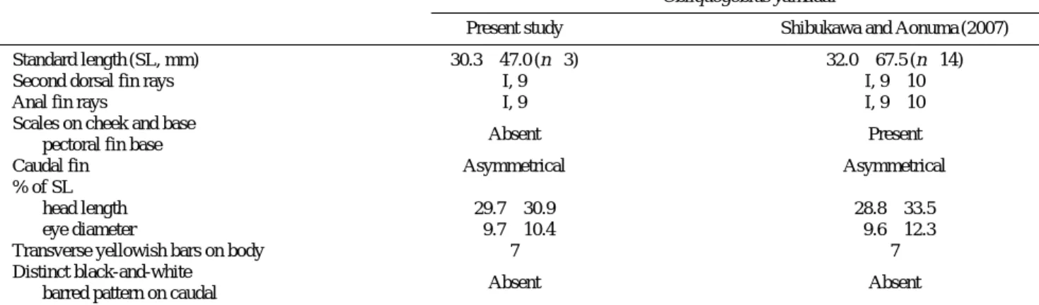Table 1. Comparison of diagnostic characters of Obliquogobius yamadai between the Korean specimens and type materials Obliquogobius yamadai