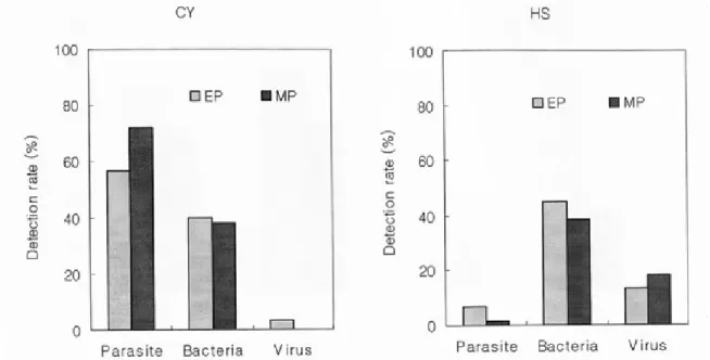 Fig. 4. Detection rates of fish pathogens from flounder fed extruded pellets (EP) and moist pellets (MP) diet in CY(n=120) and HS(n=120) farms.