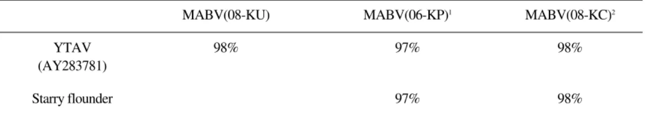 Table 3. Comparison of the amino acid of MABV detection samples from starry flounder and flounders.