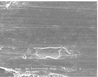 Fig. 10 SEM micrographs of wear scar (x1000 Unpeened)