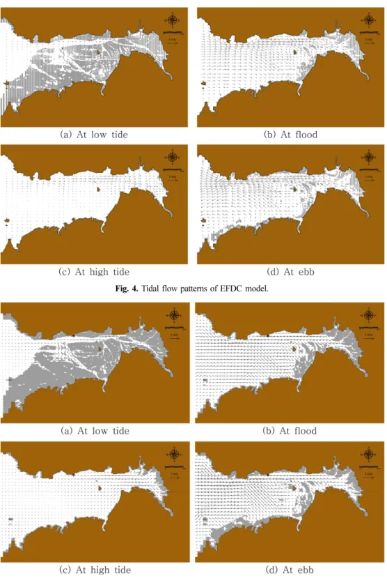 Fig. 4. Tidal flow patterns of EFDC model.