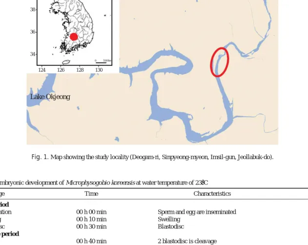 Table 1. Embryonic development of Microphysogobio koreensis at water temperature of 23� C