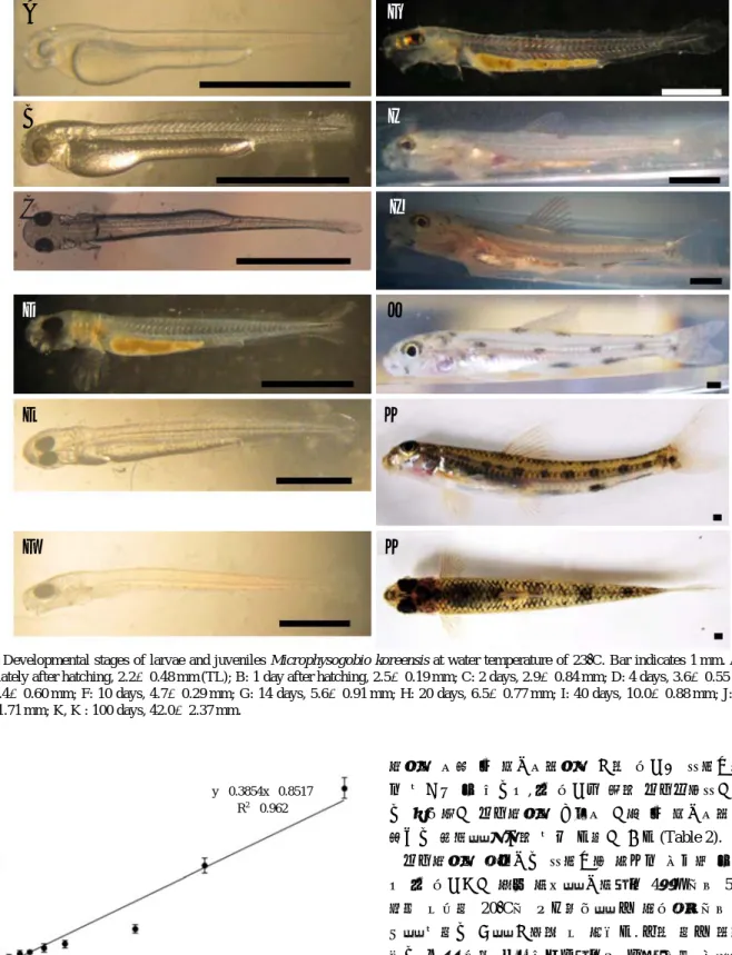 Fig. 4. Early growth of total length of Microphysogobio koreensis. The diagrams indicate the mean (circle) and standard deviation (horizontal line).Total length(mm) 4540353025201510 50 0 20 40 60 80 100