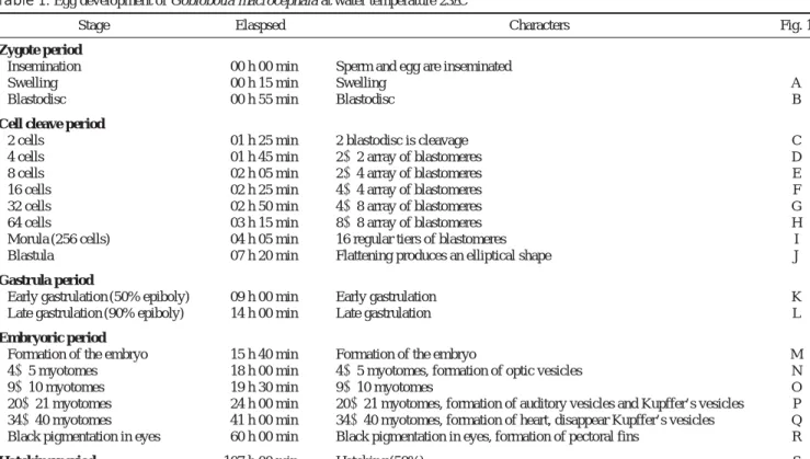 Table 1. Egg development of Gobiobotia macrocephala at water temperature 23� C